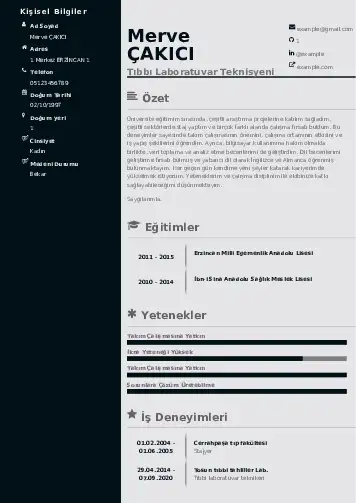 Laboratuvar Teknisyeni Cv Örnekleri cv indir